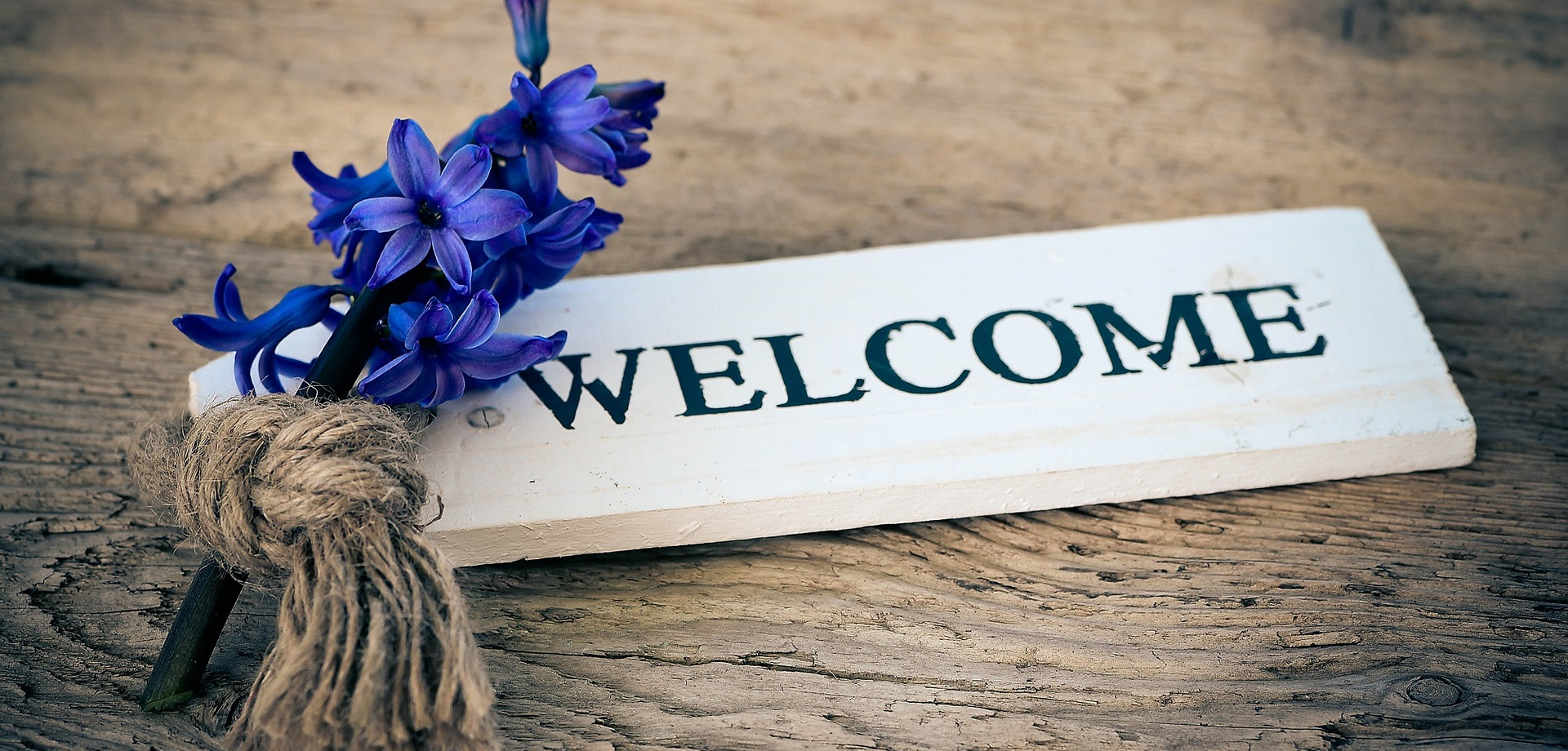 Eine blaue Hyazinthe, die auf einem weißen Holzschild mit der Aufschrift "Welcome" liegt.